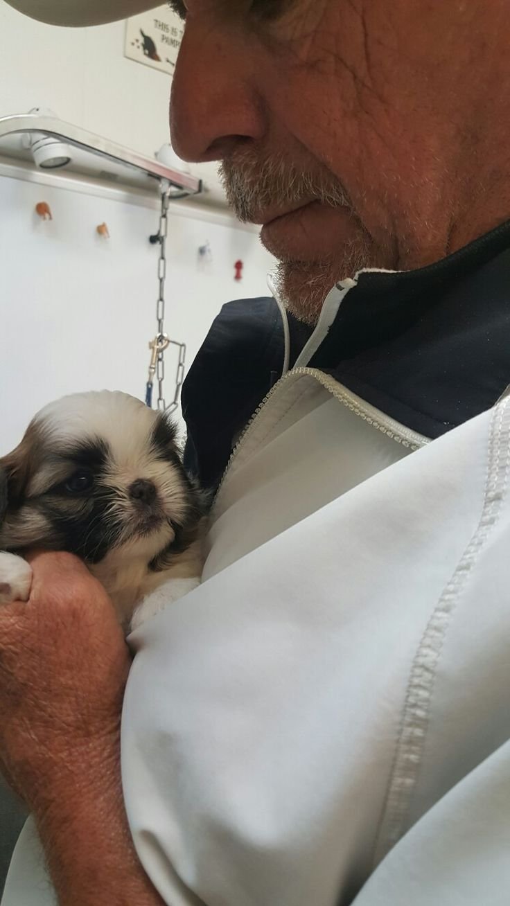 Daniel Brooks – Chicago, IL